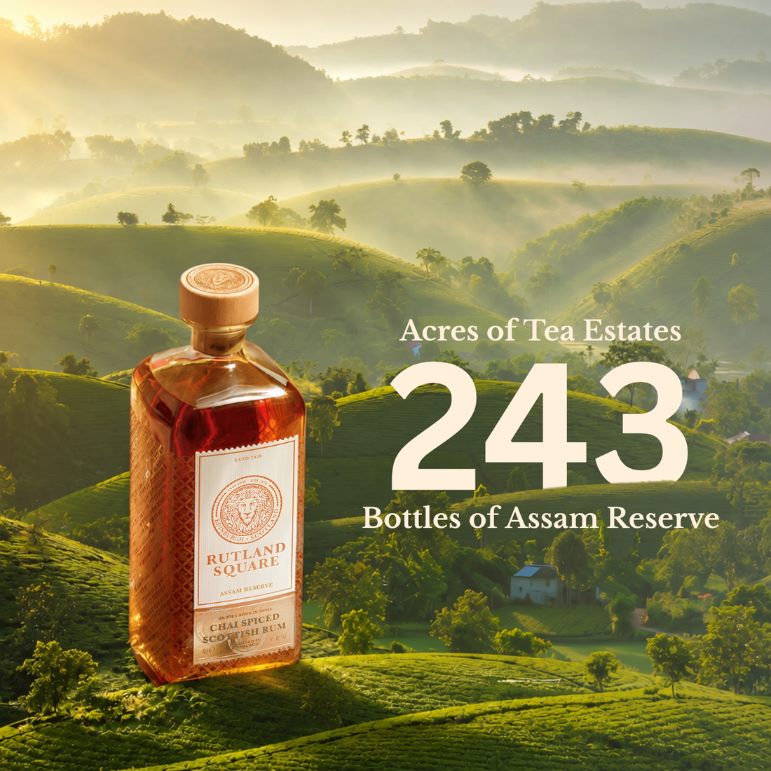 Rutland Square Assam Reserve
